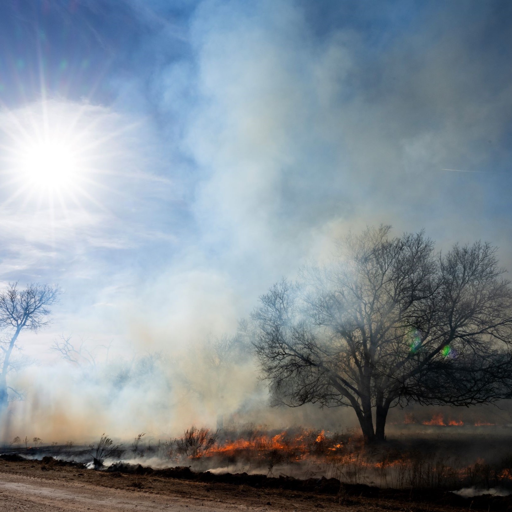Texans should stay prepared as extreme wildfire danger increases
